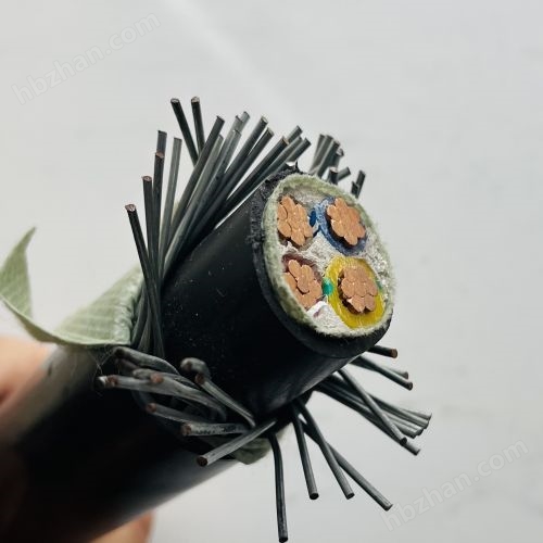 IMG_3108.jpg WDJBRYK42 鋼絲鎧裝電纜